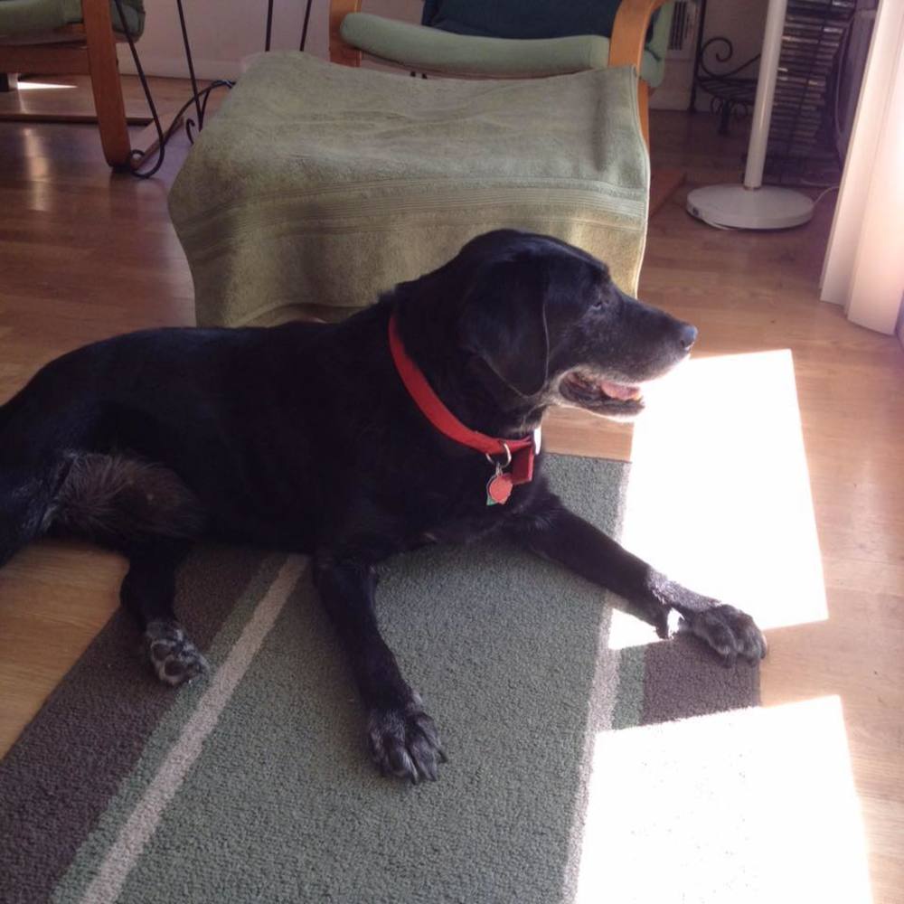 Meet your Posher, Marilyn